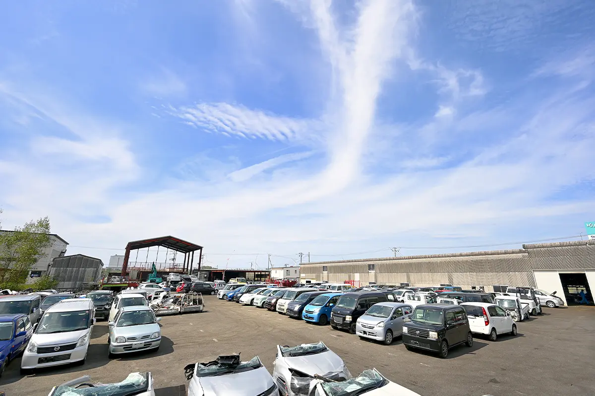 写真：会社敷地内の様子